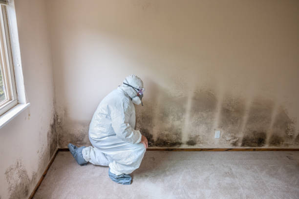 Crawl Space Mold Removal in Salt Lake City, UT