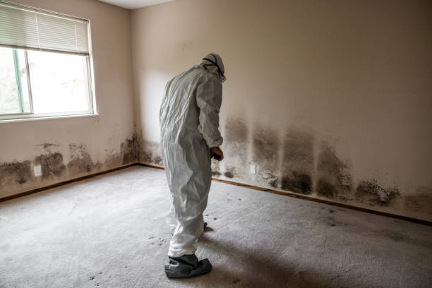 Best Mold Testing  in Salt Lake City, UT